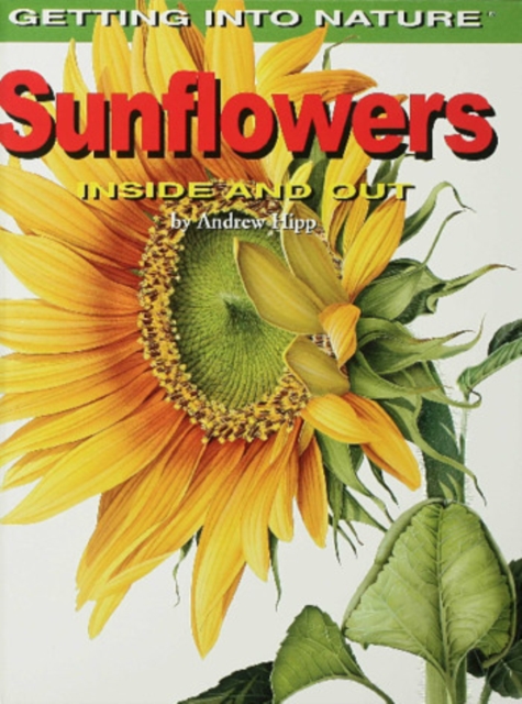 Book Cover for Sunflowers by Andrew Hipp