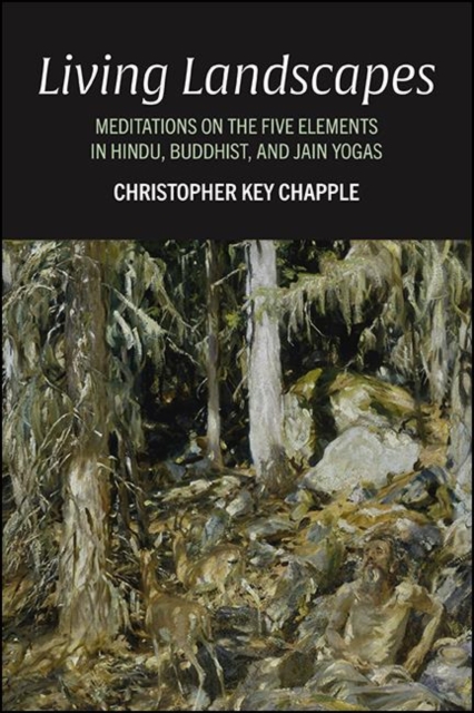 Book Cover for Living Landscapes by Christopher Key Chapple