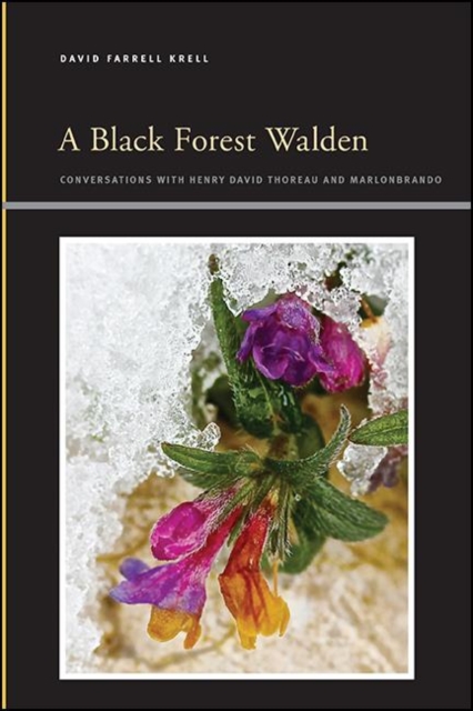 Book Cover for Black Forest Walden by David Farrell Krell