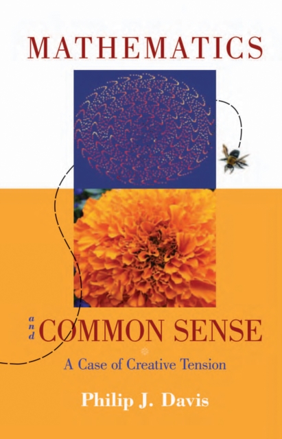 Book Cover for Mathematics & Common Sense by Philip J. Davis