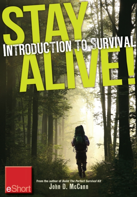 Book Cover for Stay Alive - Introduction to Survival Skills eShort by McCann, John