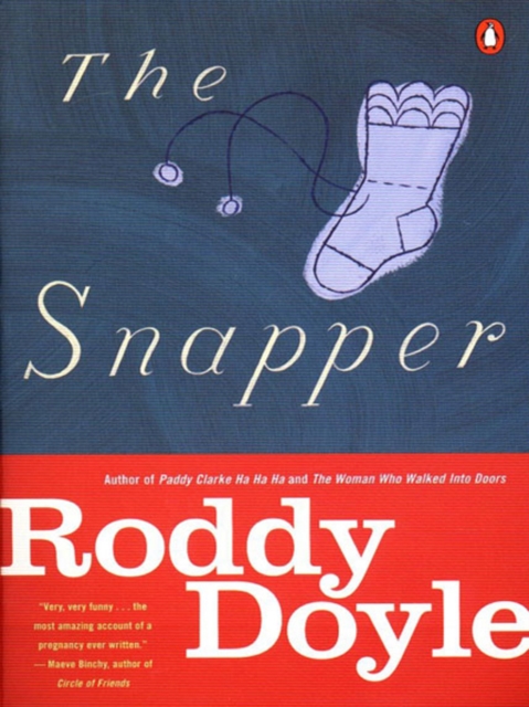 Book Cover for Snapper by Roddy Doyle