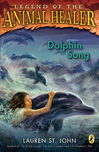 Book Cover for Dolphin Song by John, Lauren St.