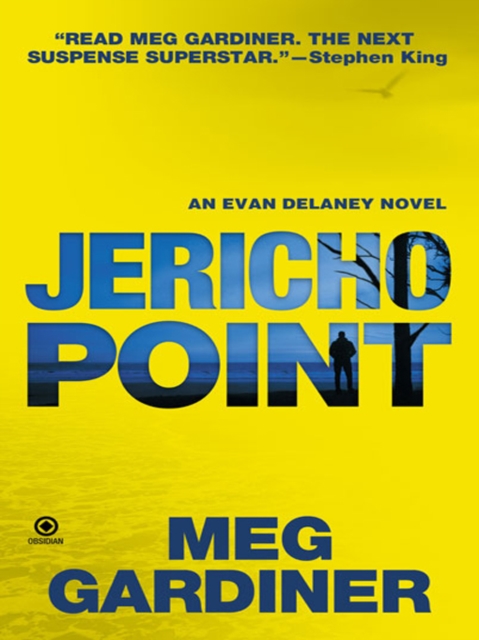 Book Cover for Jericho Point by Gardiner, Meg