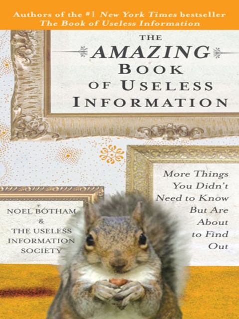 Book Cover for Amazing Book of Useless Information by Noel Botham