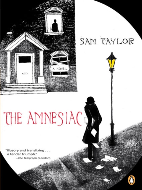 Book Cover for Amnesiac by Sam Taylor