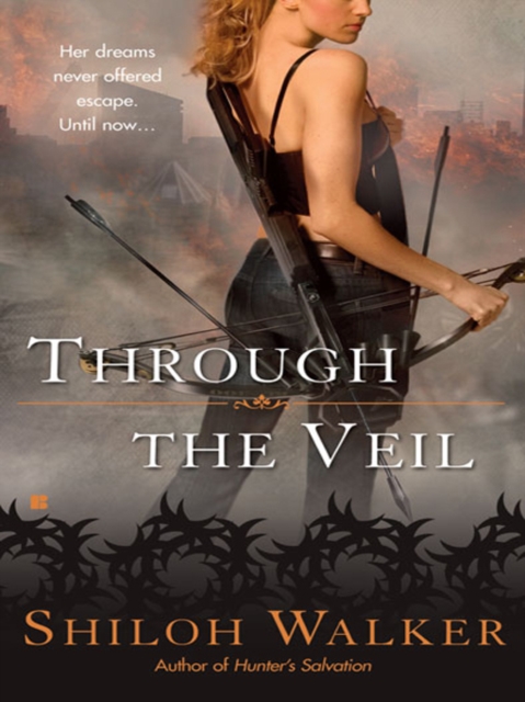 Book Cover for Through the Veil by Shiloh Walker