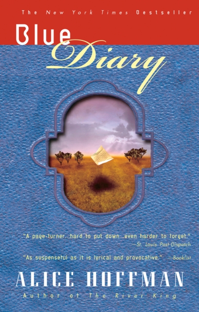 Book Cover for Blue Diary by Hoffman, Alice