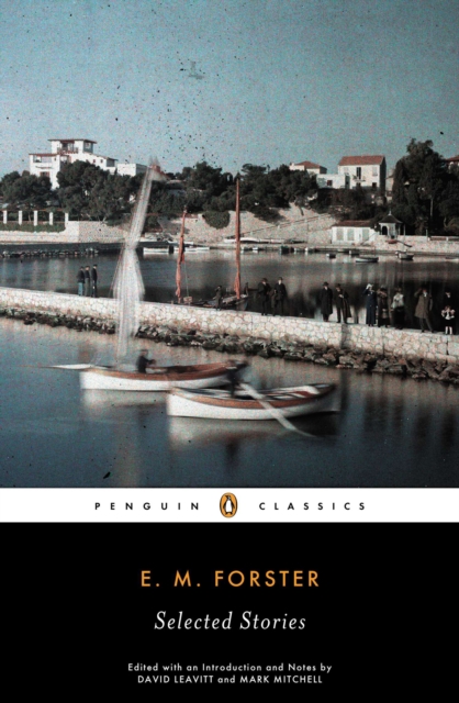 Book Cover for Selected Stories by E. M. Forster