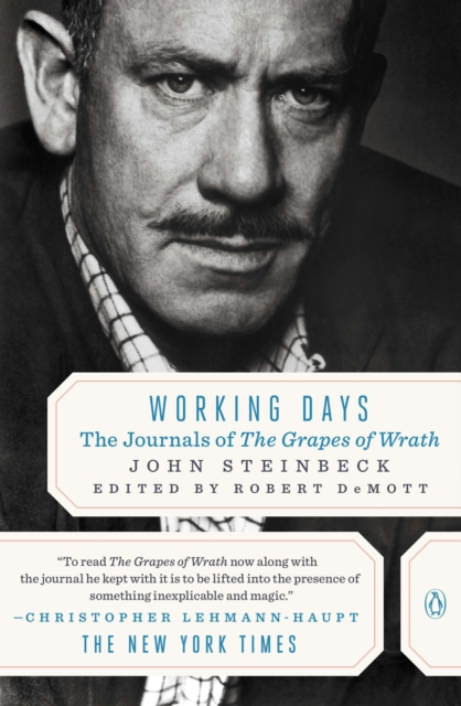 Book Cover for Working Days by John Steinbeck