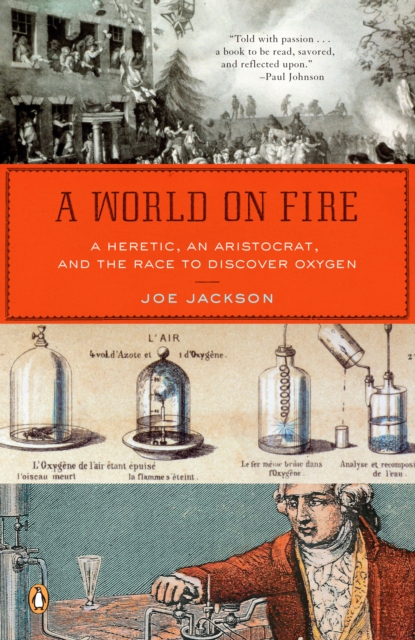 Book Cover for World on Fire by Joe Jackson