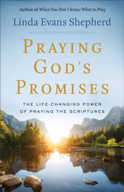 Book Cover for Praying God's Promises by Linda Evans Shepherd