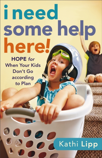 Book Cover for I Need Some Help Here! by Kathi Lipp