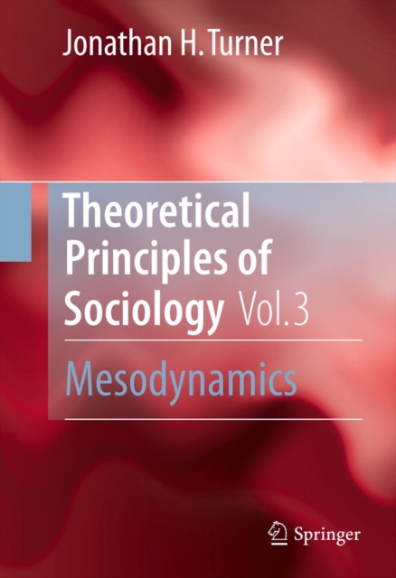 Book Cover for Theoretical Principles of Sociology, Volume 3 by Jonathan H. Turner