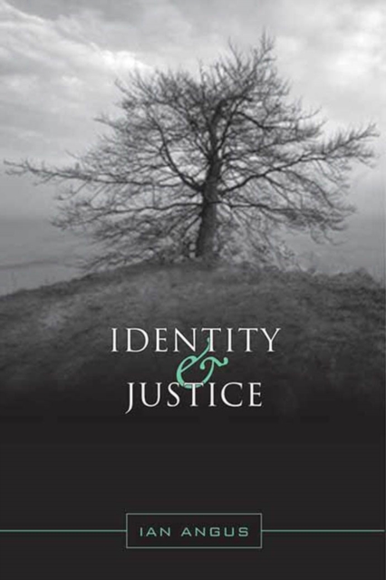 Book Cover for Identity and Justice by Ian Angus