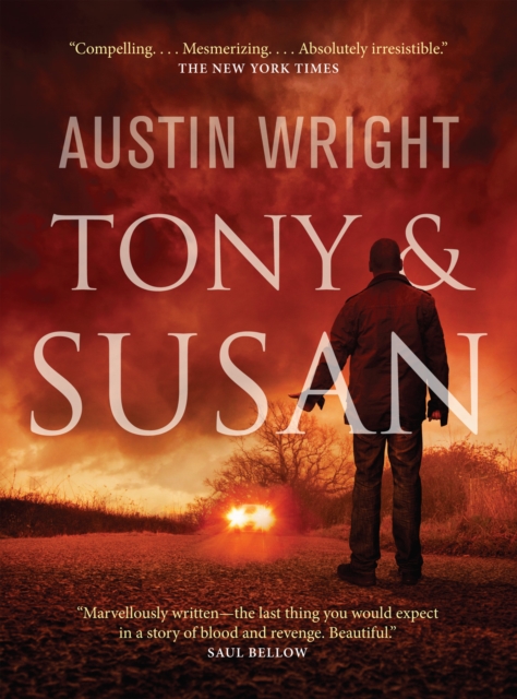 Book Cover for Tony and Susan by Austin Wright