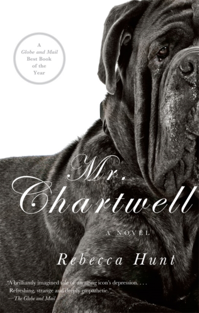 Book Cover for Mr. Chartwell by Rebecca Hunt