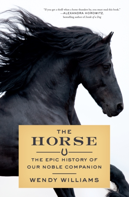 Book Cover for Horse by Wendy Williams