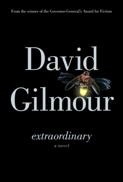 Book Cover for Extraordinary by David Gilmour