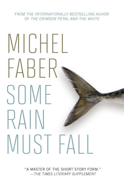Book Cover for Some Rain Must Fall by Michel Faber