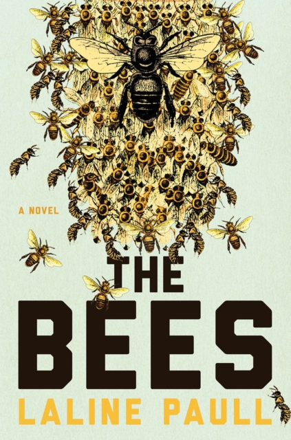 Book Cover for Bees by Paull, Laline