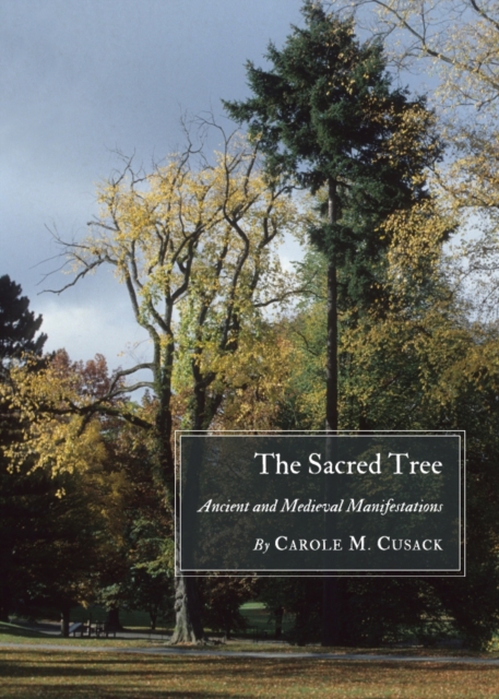 Book Cover for Sacred Tree by Carole M. Cusack