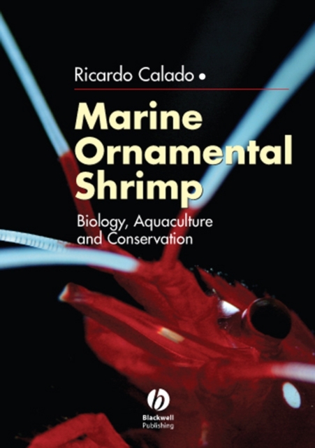 Book Cover for Marine Ornamental Shrimp by Ricardo Calado