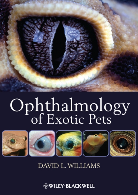 Book Cover for Ophthalmology of Exotic Pets by David L. Williams