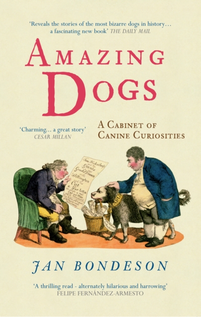 Book Cover for Amazing Dogs by Jan Bondeson