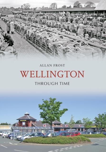 Book Cover for Wellington Through Time by Frost, Allan