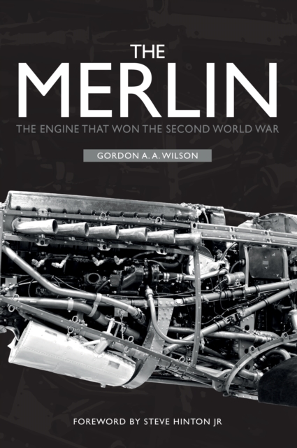 Book Cover for Merlin by Wilson, Gordon A. A.