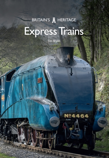 Book Cover for Express Trains by Tim Bryan