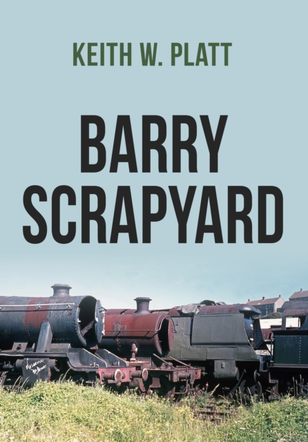 Book Cover for Barry Scrapyard by Keith W. Platt