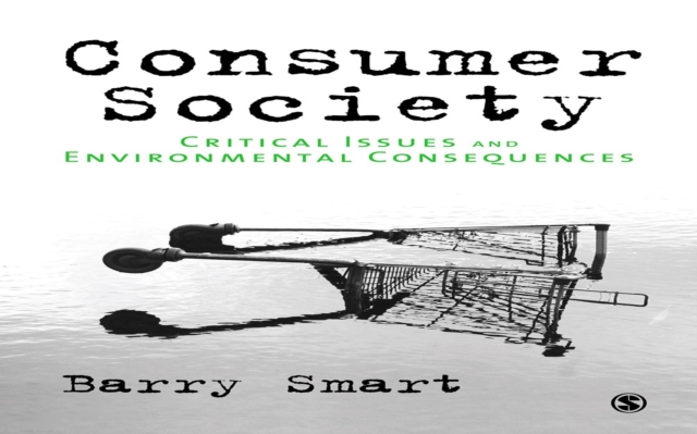 Book Cover for Consumer Society by Barry Smart