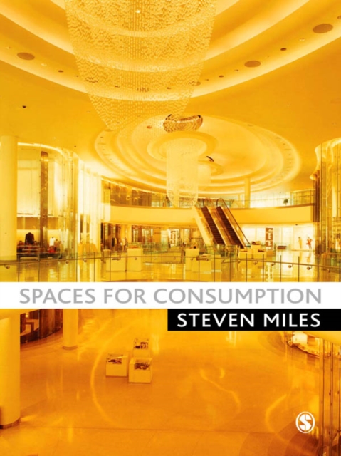 Book Cover for Spaces for Consumption by Steven Miles