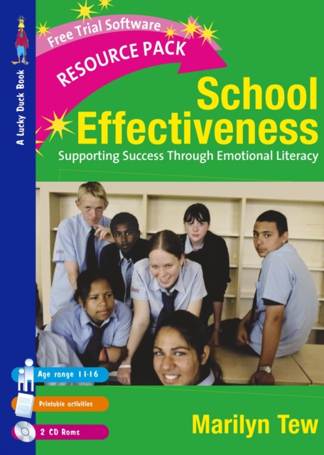 Book Cover for School Effectiveness by Marilyn Tew