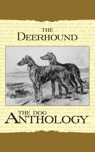 Book Cover for Deerhound - A Dog Anthology (A Vintage Dog Books Breed Classic) by Various