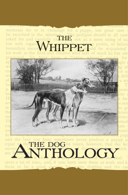 Book Cover for Whippet - A Dog Anthology (A Vintage Dog Books Breed Classic) by Various