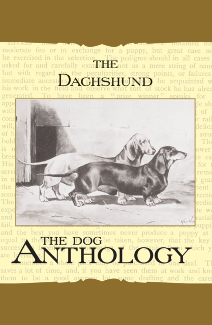 Book Cover for Daschund - A Dog Anthology (A Vintage Dog Books Breed Classic) by Various