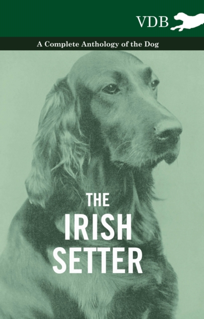 Book Cover for Irish Setter - A Complete Anthology of the Dog by Various