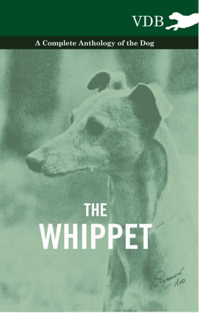 Book Cover for Whippet - A Complete Anthology of the Dog by Various