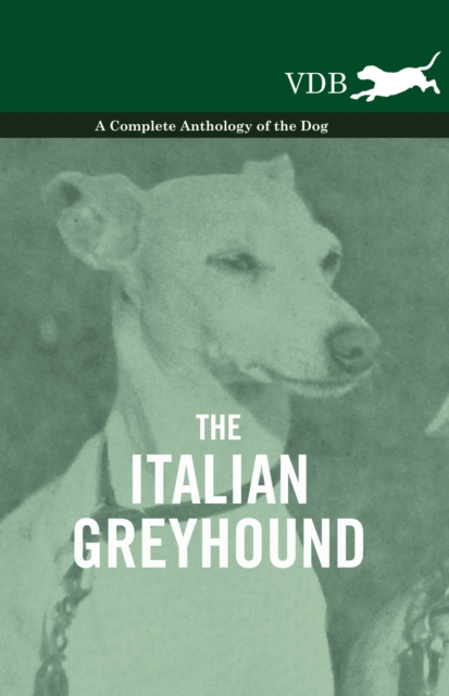 Book Cover for Italian Greyhound - A Complete Anthology of the Dog by Various