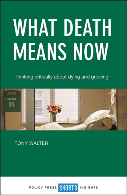 Book Cover for What Death Means Now by Tony Walter