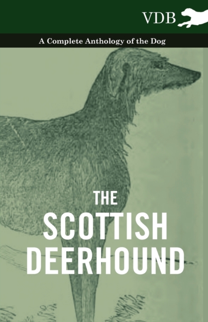 Book Cover for Scottish Deerhound - A Complete Anthology of the Dog by Various