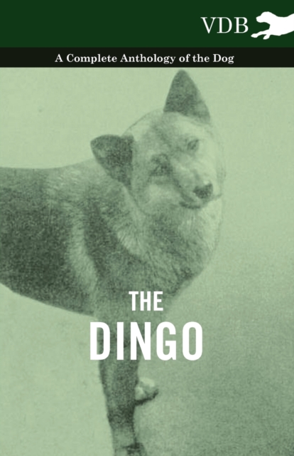 Book Cover for Dingo - A Complete Anthology of the Dog - by Various