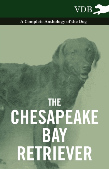 Book Cover for Chesapeake Bay Retriever - A Complete Anthology of the Dog - by Various