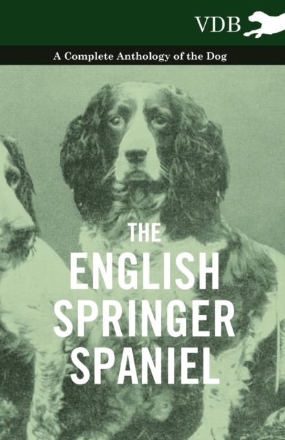 Book Cover for English Springer Spaniel - A Complete Anthology of the Dog by Various