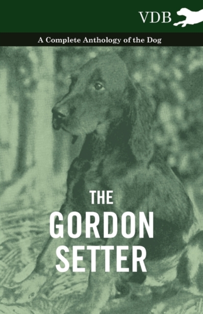 Book Cover for Gordon Setter - A Complete Anthology of the Dog by Various