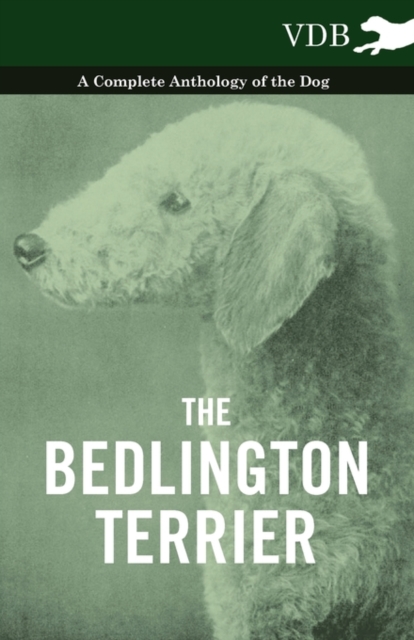 Book Cover for Bedlington Terrier - A Complete Anthology of the Dog - by Various