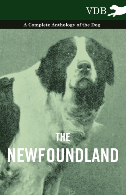 Book Cover for Newfoundland - A Complete Anthology of the Dog by Various